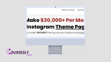 Niklas Pedde – Instagram University 4.0 – $30Km With 1 Instagram Theme Page