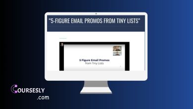 Justin Goff – 5 Figure Email Promos From Tiny Lists